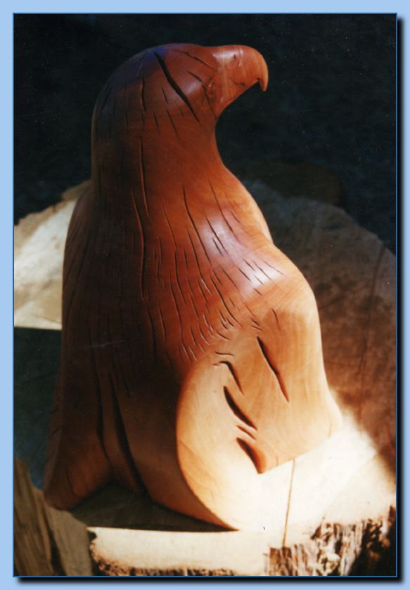 2-14 eagle, stylized-archive-0004